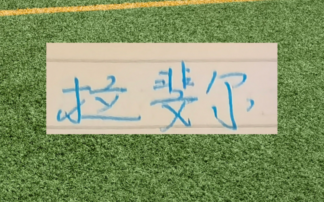 芒果体育app下载-第一个赛季马莱莱进15个 路易斯21个 申花两条大鱼能进几个？